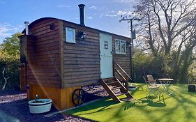 Shepherds Hut, Conwy Valley